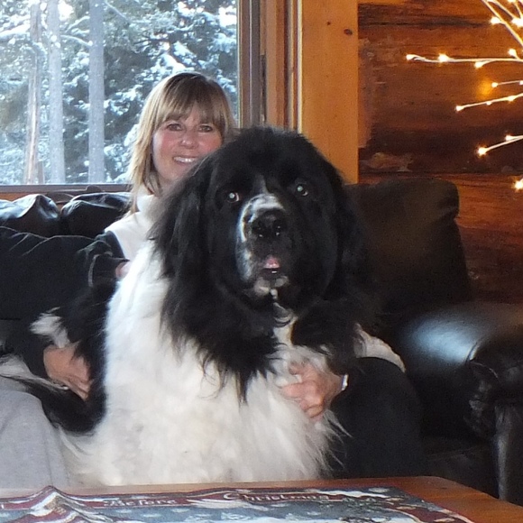 Meet your Posher, Liana - Picture 1 of 1